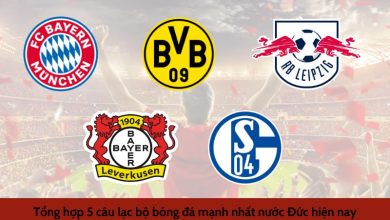 5 câu lạc bộ bóng đá mạnh nhất nước Đức